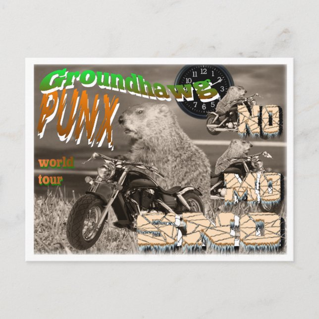 Carte Postale Groundhawg PUNX tour du monde NO MO SNO (Devant)