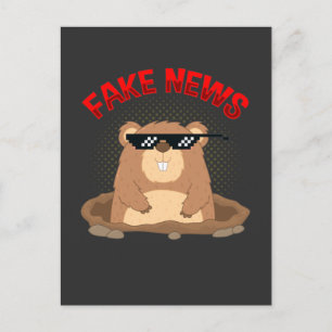 Carte Postale Groundhog Day Fake News Pennsylvania Punxsutawney