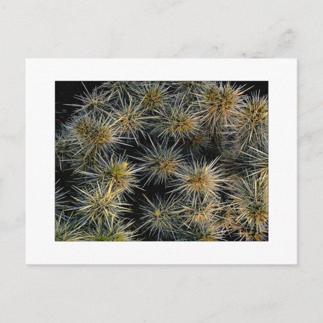 Carte Postale "Groupe Aïe" (Devant)