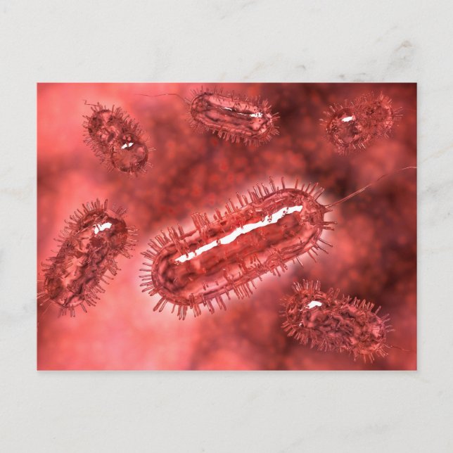 Carte Postale Groupe de cellules bactériennes Escherichia Coli 2 (Devant)