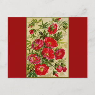 Carte Postale Groupe de fleurs rouges