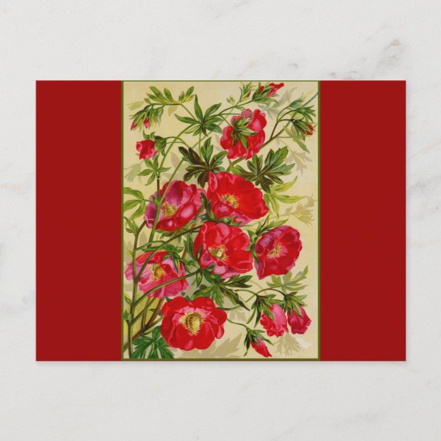 Carte Postale Groupe de fleurs rouges (Devant)