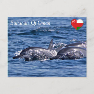 Carte Postale Groupe de grands dauphins - Oman