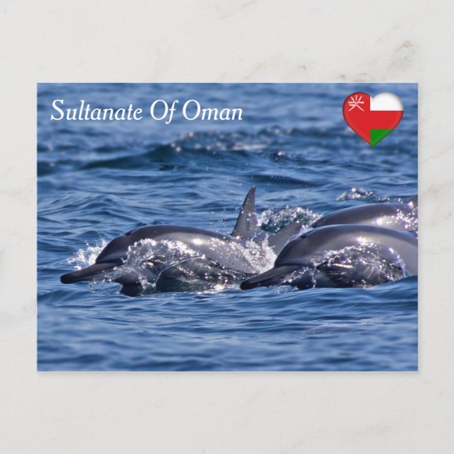 Carte Postale Groupe de grands dauphins - Oman (Devant)