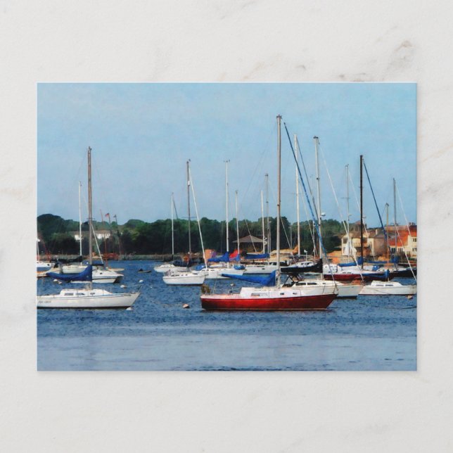 Carte Postale Groupe de Sailboats Newport (Devant)