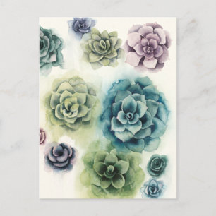 Carte Postale Groupe de succulents