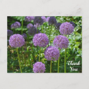 Carte Postale Groupe Violet de Fleurs d'Allium Merci