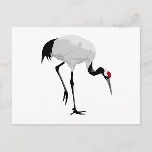 Carte Postale Grue à couronne rouge (alias Red-Crowned Crane) Gr