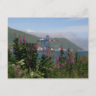 Carte Postale Grue APL en Hollande Harbour, Alaska