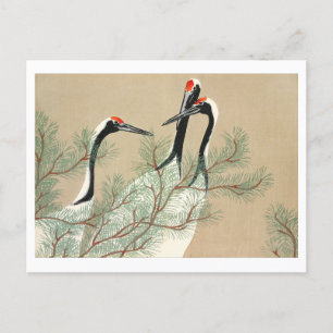 Carte Postale Grues de Momoyogusa