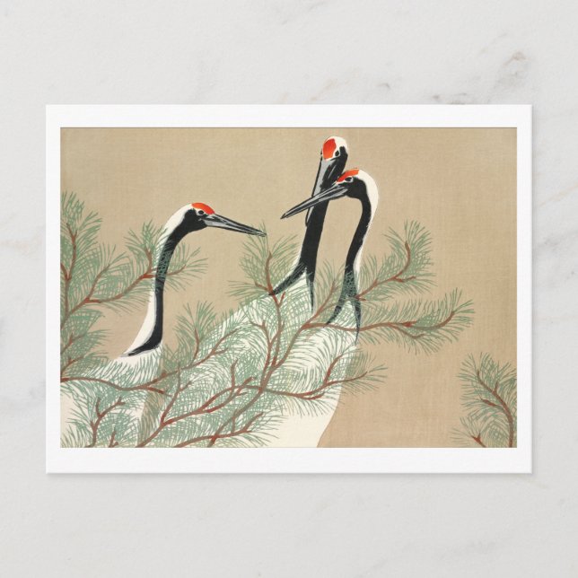 Carte Postale Grues de Momoyogusa (Devant)