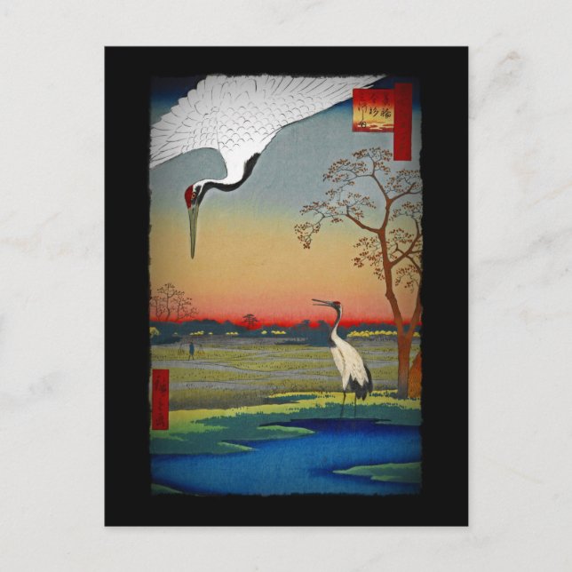 Carte Postale Grues et eau bleue (Devant)