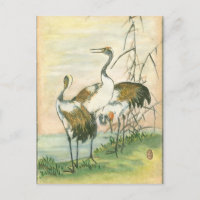 Grues orientales au bord de l'eau