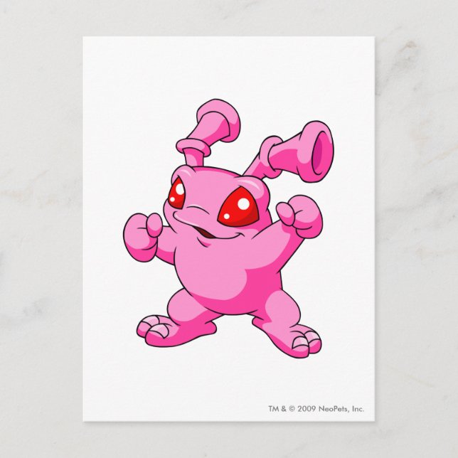 Carte Postale Grundo rose (Devant)