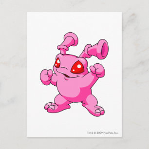 Carte Postale Grundo rose