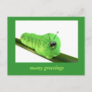 Carte Postale Grüne Raupe