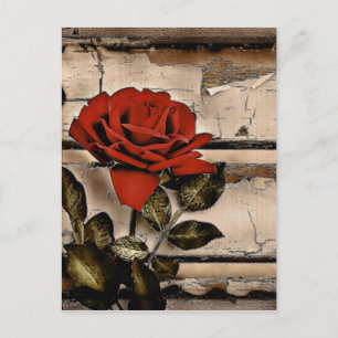 Carte Postale Grunge Distressed Barne Bois Rustique Rose rouge