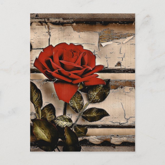 Carte Postale Grunge Distressed Barne Bois Rustique Rose rouge (Devant)