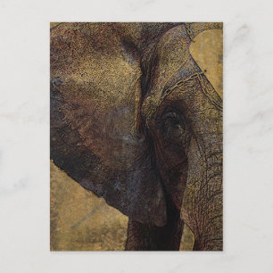 Carte Postale Grunge Parchment Majestic African Elephant