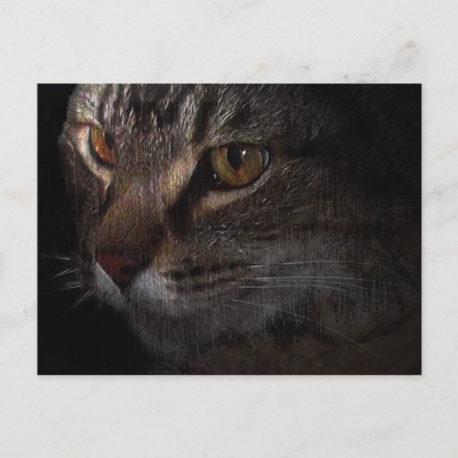 Carte Postale Grunge Tabby Tête de chat dans l'ombre (Devant)
