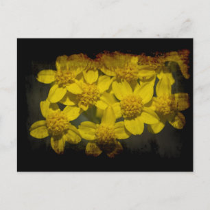 Carte Postale Grungy Yellow Fleurs sauvages