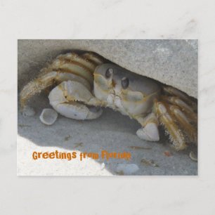 Carte Postale Grüße aus Florida Grußkarte Postkarte