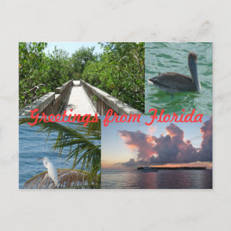 Carte Postale Grüße aus Florida Grußkarte Postkarte