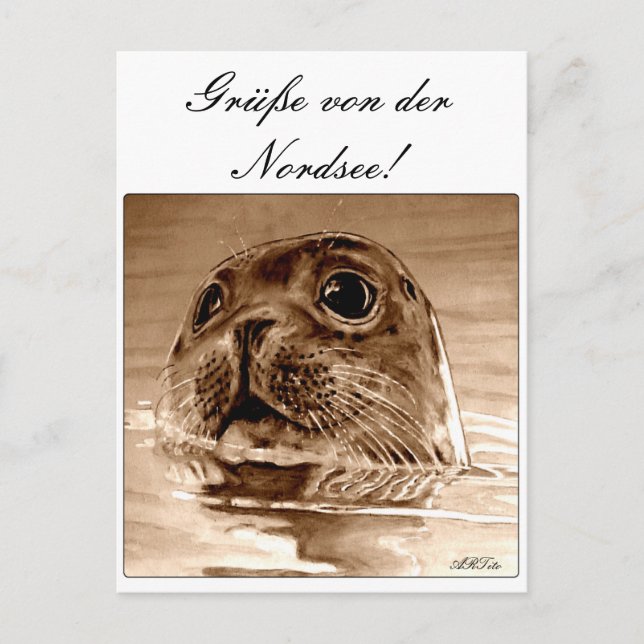 Carte Postale Grüße von der Nordsee ! (Devant)