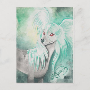 Carte Postale Grzywacz Chiński ~ Chien Crête Chinoise
