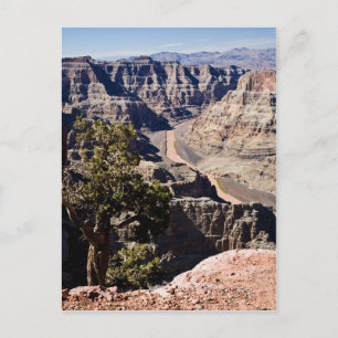 Carte Postale Guano Point