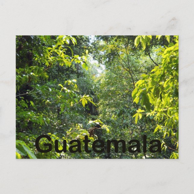 Carte Postale Guatemala (Devant)