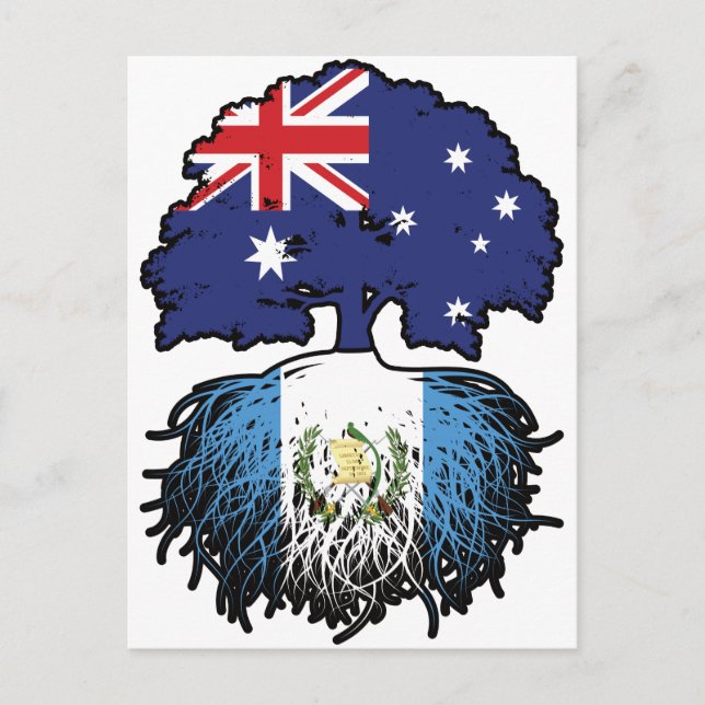 Carte Postale Guatemala Australie arbre de l'Australie (Devant)