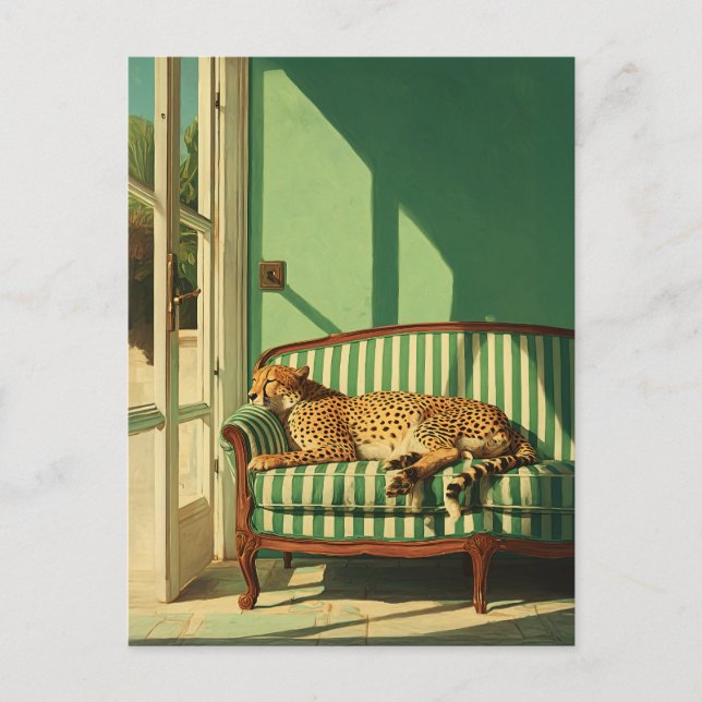 Carte Postale Guépard se reposant dans une pièce ensoleillée (Devant)