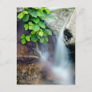 Carte Postale guérison cours d'eau naturel