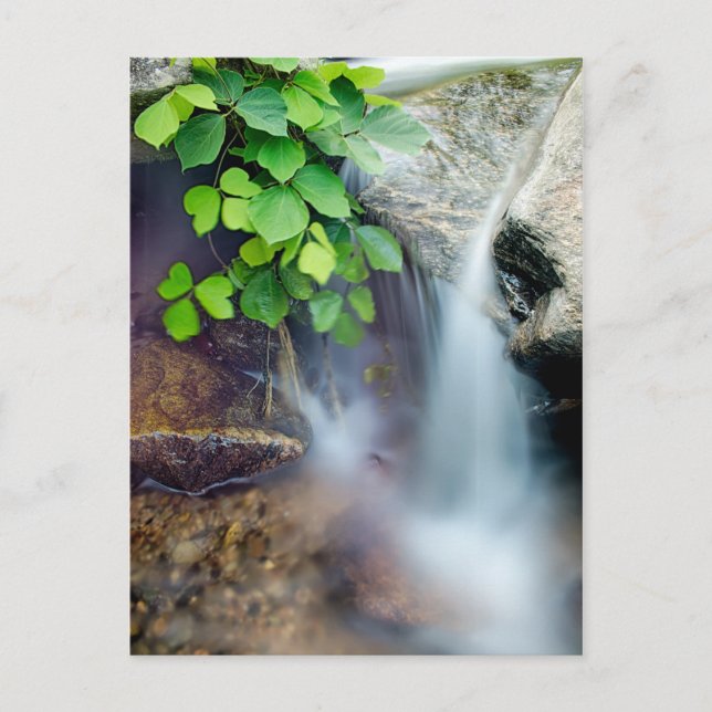 Carte Postale guérison cours d'eau naturel (Devant)