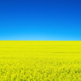 Carte postale Guerre et Paix