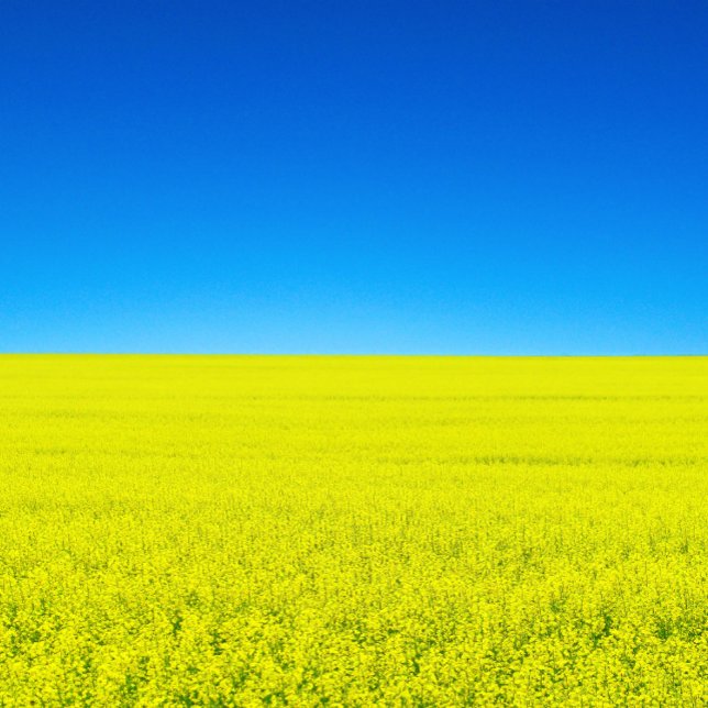 Carte postale Guerre et Paix (Créateur téléchargé)