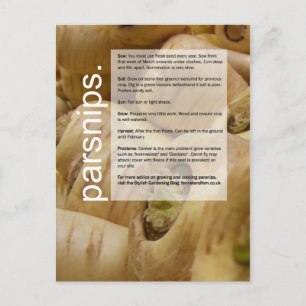 Carte Postale Guide de bonne croissance : Artichauts et parsnips
