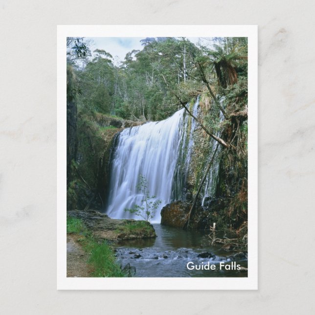 Carte Postale Guide Falls Tasmanie (Devant)