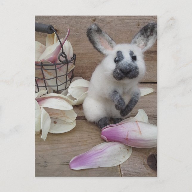 Carte Postale Guilty rabbit (Devant)