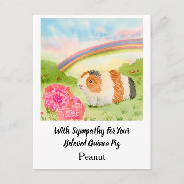 Carte Postale Guinea Pig Rainbow Sympathy with Carnations Name (Devant)