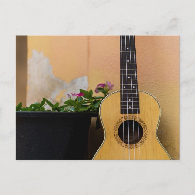 Carte Postale Guitare basse incroyable (Devant)