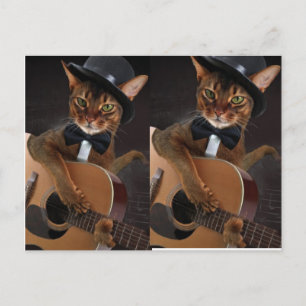 Carte Postale Guitariste Chat Cool