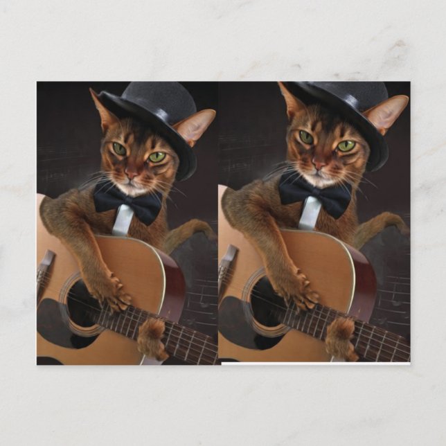 Carte Postale Guitariste Chat Cool  (Devant)