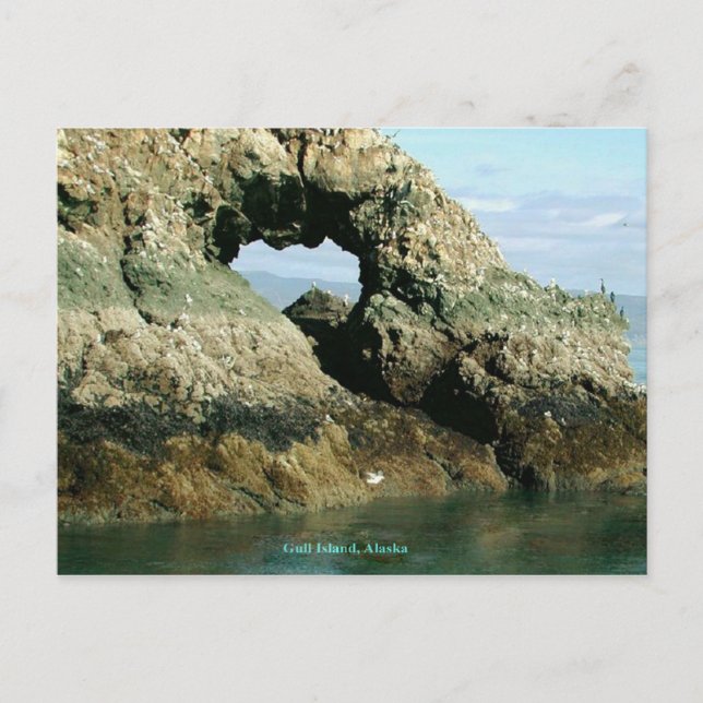 Carte Postale Gull Island, Alaska (Devant)