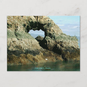 Carte Postale Gull Island, Alaska