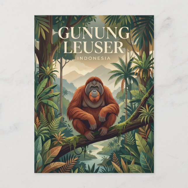 Carte Postale Gunung Leuser Indonésie (Devant)