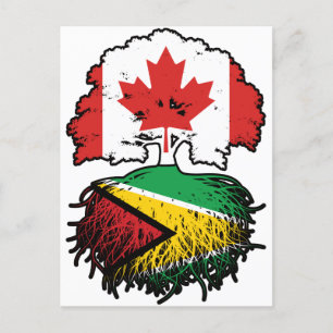 Carte Postale Guyana Canadien Guyanais Canada Racines Arbre Drap
