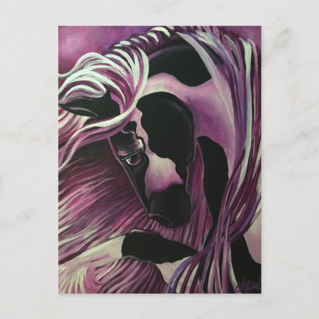 CARTE POSTALE GYPSY VANNER HORSE (Devant)