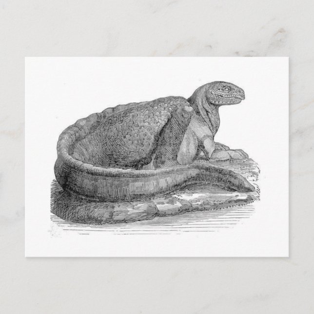 Carte Postale Hadrosaurus Sculpture Antique Impression (Devant)